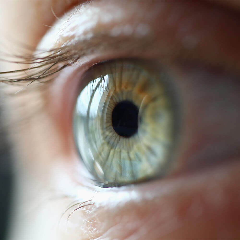 Iris Reconstruction Intraocular Lens